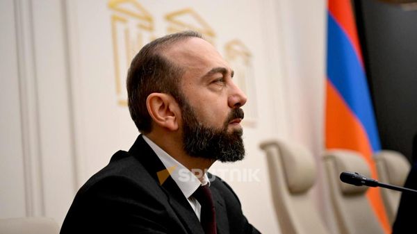 Перевозить оружие или боеприпасы через TRIPP будет запрещено — Мирзоян