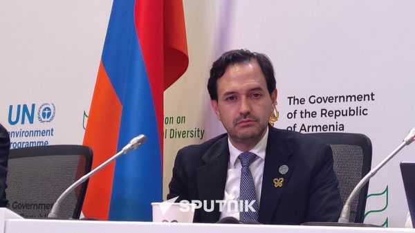 Бюджет Глобального экологического фонда вырастет до $4,4 млрд: Армения получит доступ