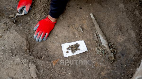 Золотые украшения и бронзовые изделия: в Мецаморе обнаружили статусную гробницу
