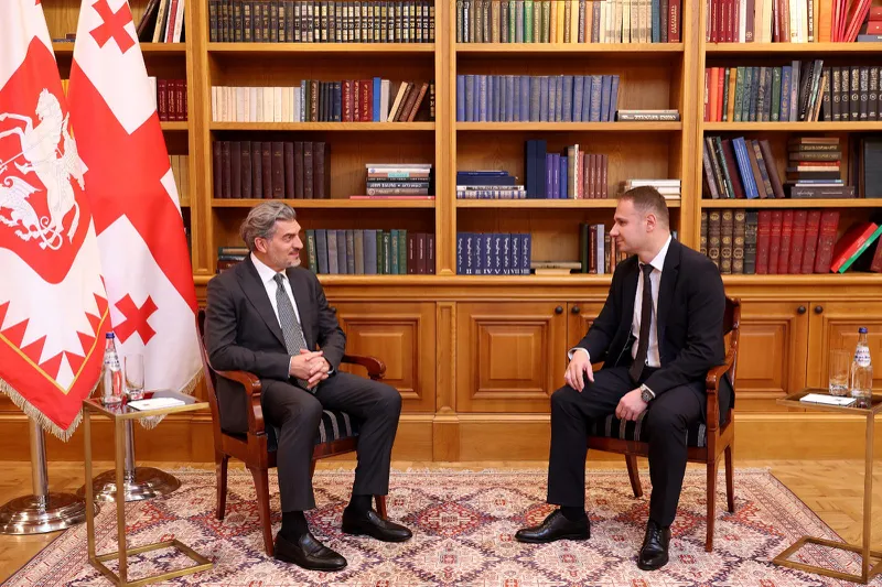 Georgian President Mikheil Kavelashvili Appoints Goga Kikilashvili as Judge of the Constitutional Court