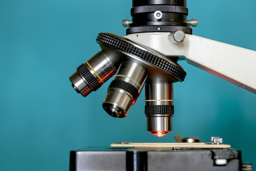 Pancreatic Cancer Cells Rewire Their DNA to Evade Treatment and Spread, Research Shows