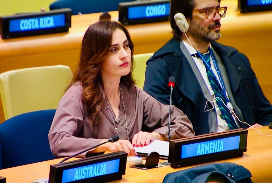 Addressing the continued detention of 19 Armenians, the delegation of Armenia highlighted the urgent need to address outstanding humanitarian issues