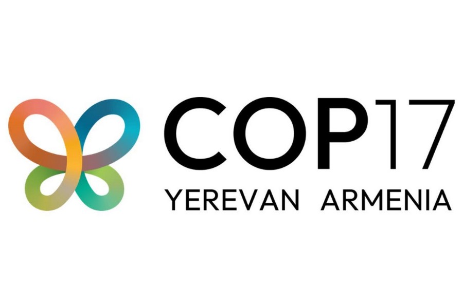 Hovik Avanesov: Has the international presentation of the truth about Artsakh itself become inconvenient?