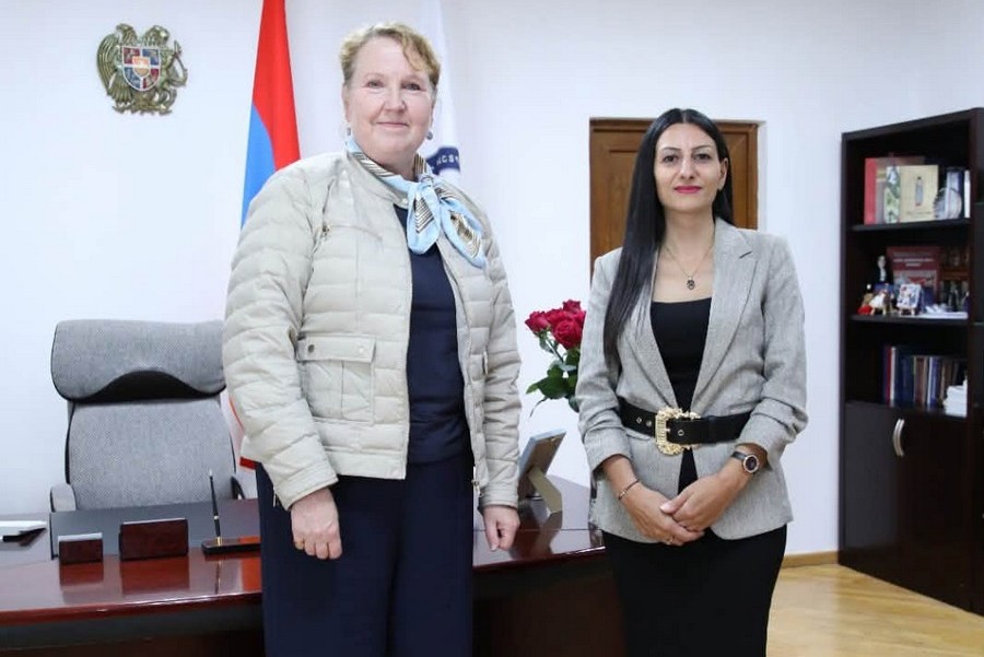 Anahit Manasyan, Satu Koivu discussed a range of human rights issues of mutual interest