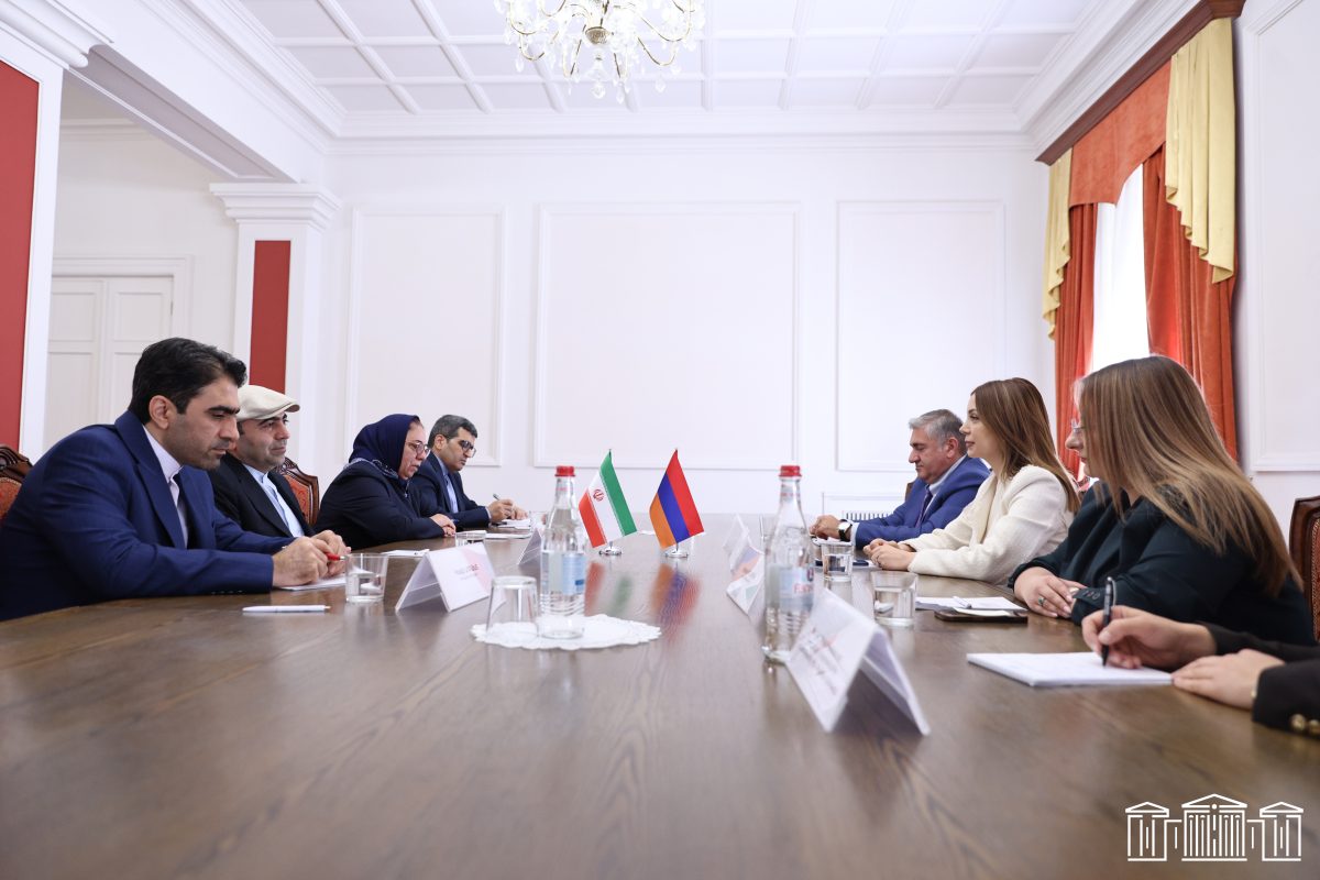 Head of EU Delegation briefs Armenian MPs on visa liberalization process