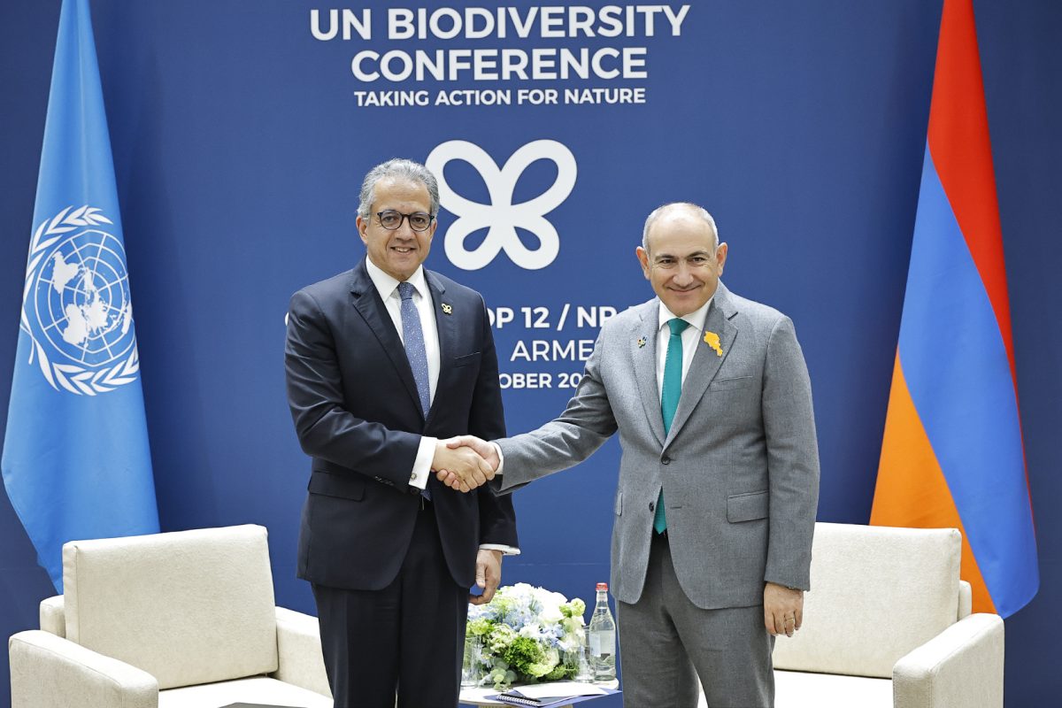 Armenian PM meets with UNESCO Director-General of UNESCO