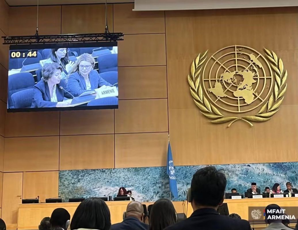 UN Human Rights Council adopts Armenia-authored resolution on women’s rights in digital technologies