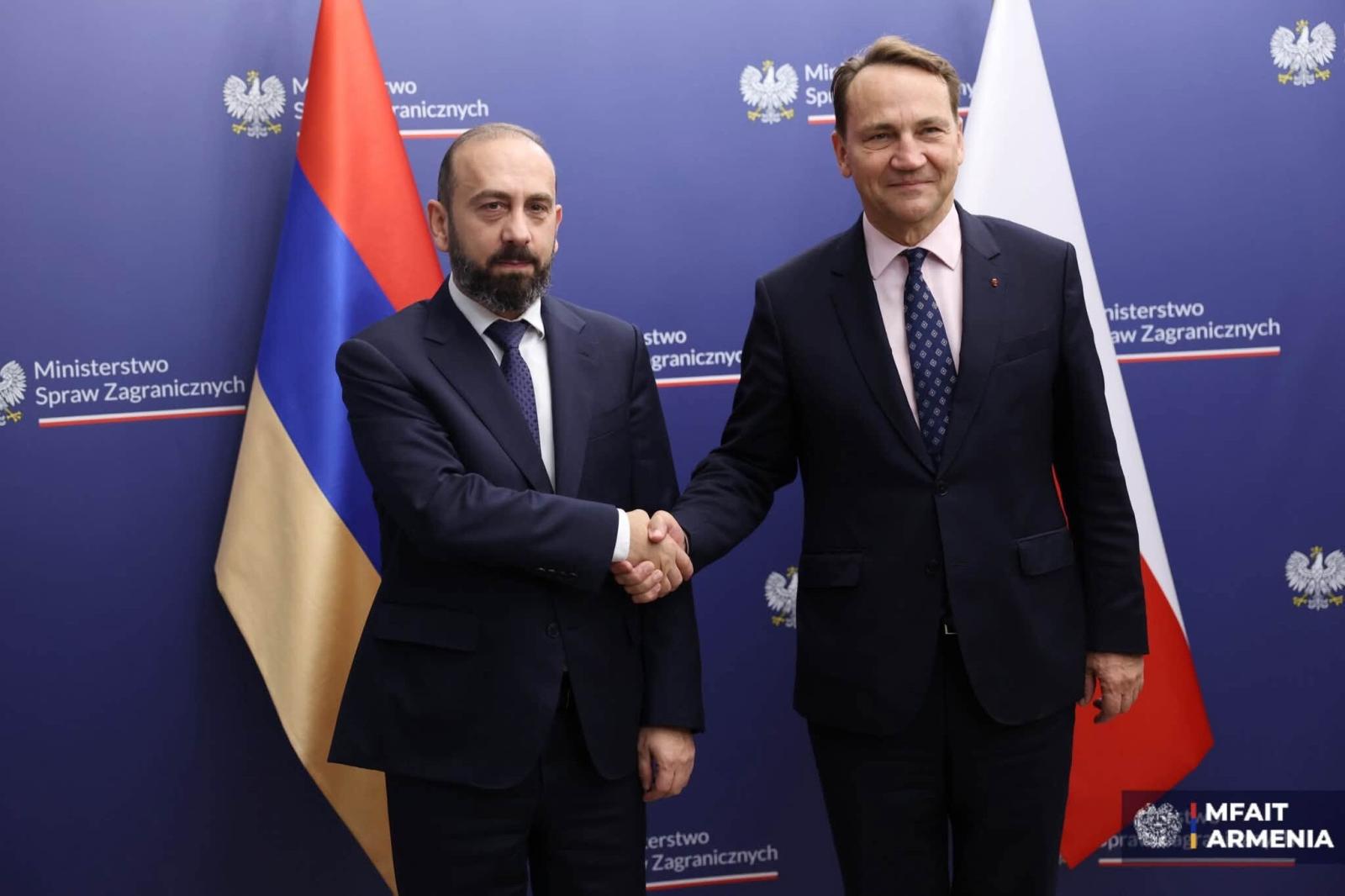 Ermenistan Dışişleri Bakanı, Polonyalı mevkidaşı Sikorski ile görüştü