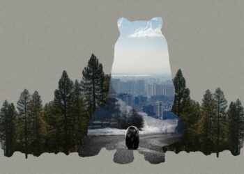 Armenia’s Unfinished Environmental Agenda Ahead of COP17