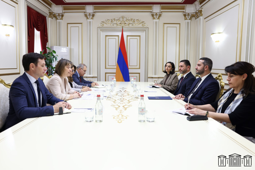 Ռուբինյանը հանդիպել է ՄԱԶԾ-ի մշտական ներկայացուցիչ Նաթիա Նացվլիշվիլիին