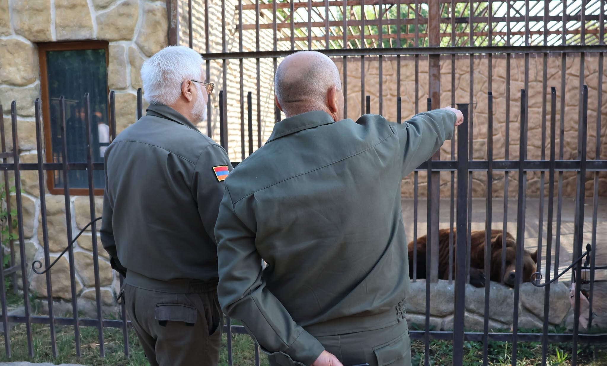 2 brown bears from the "Miracle Garden" restaurant complex were moved to a shelter