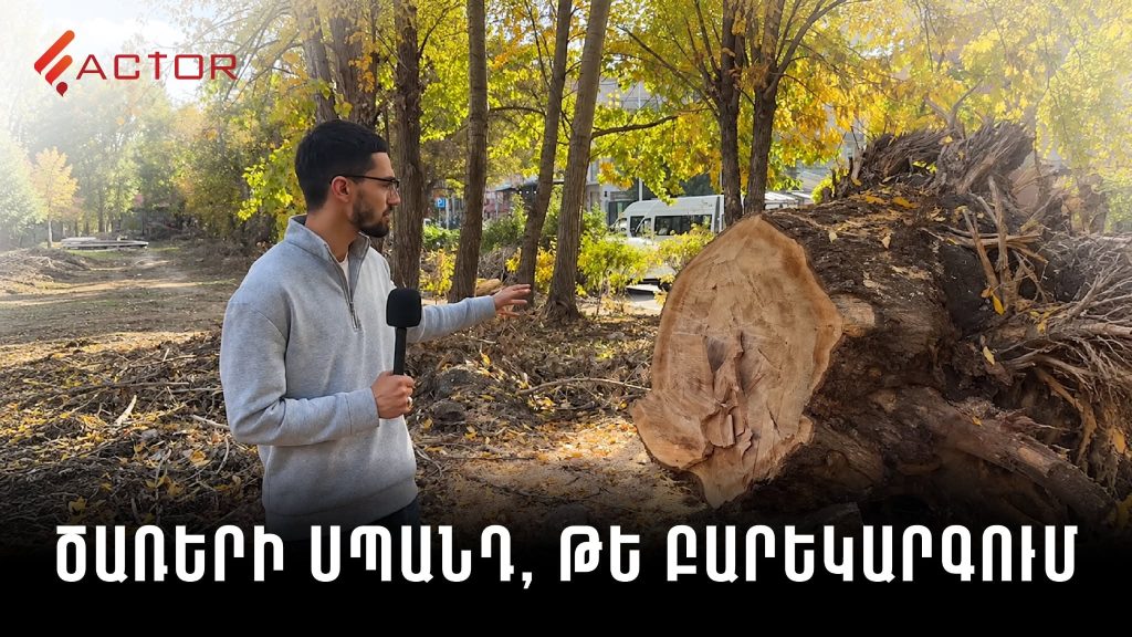 Ծառերի սպա՞նդ, թե՞ բարեկարգում․ ինչ է կատարվել Գյումրիի Հաղթանակի զբոսայգում․ ՏԵՍԱՆՅՈՒԹ