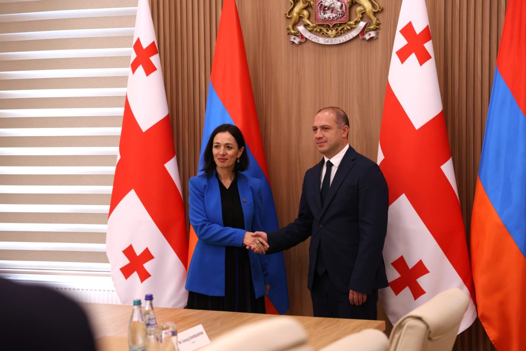 Prospects for cooperation were discussed with the Minister of Education, Science and Youth of Georgia