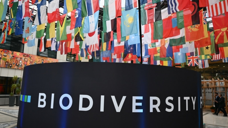 Armenian Government Accused Of Overspending On Global Forum