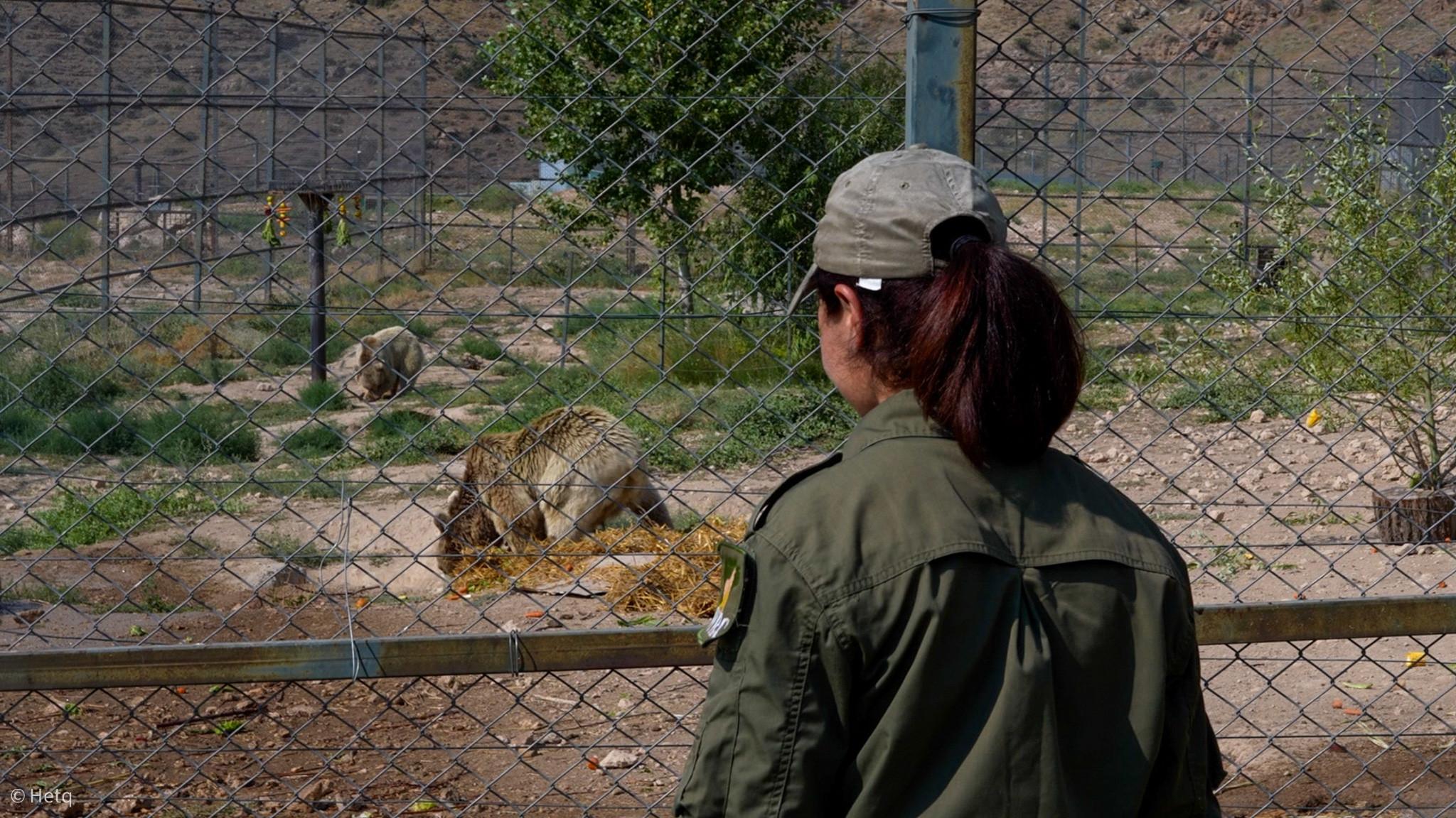 Urtsadzor Mountain Refuge: Healing Armenia's Rescued Bears