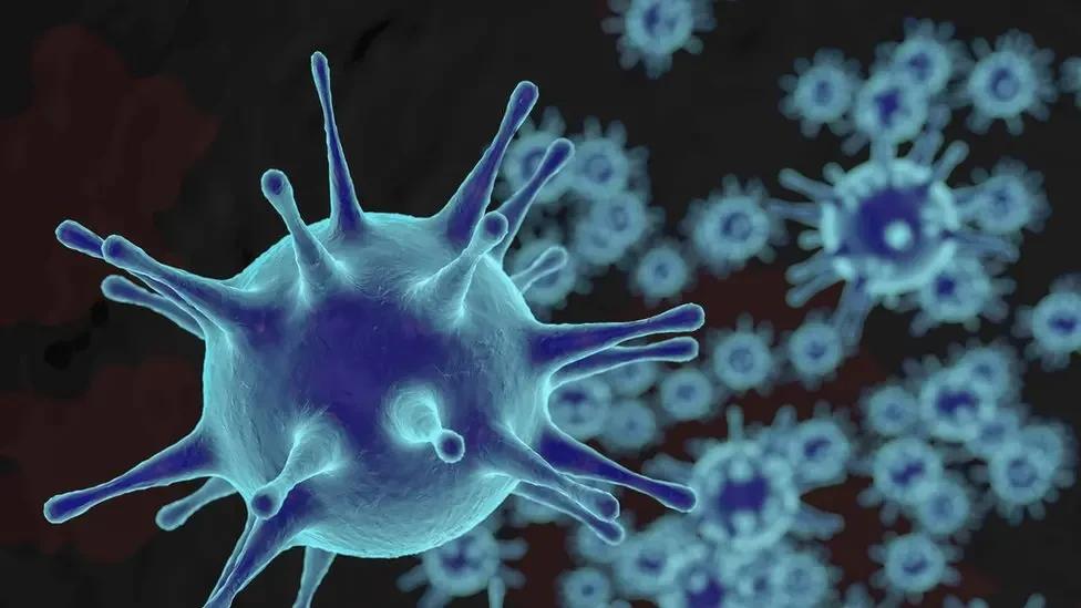 Quarantine declared in Russia after suspected plague; authorities do not confirm infection