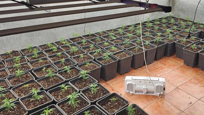 Nearly 50 Arrested as Police Target Western Balkan Drug Network