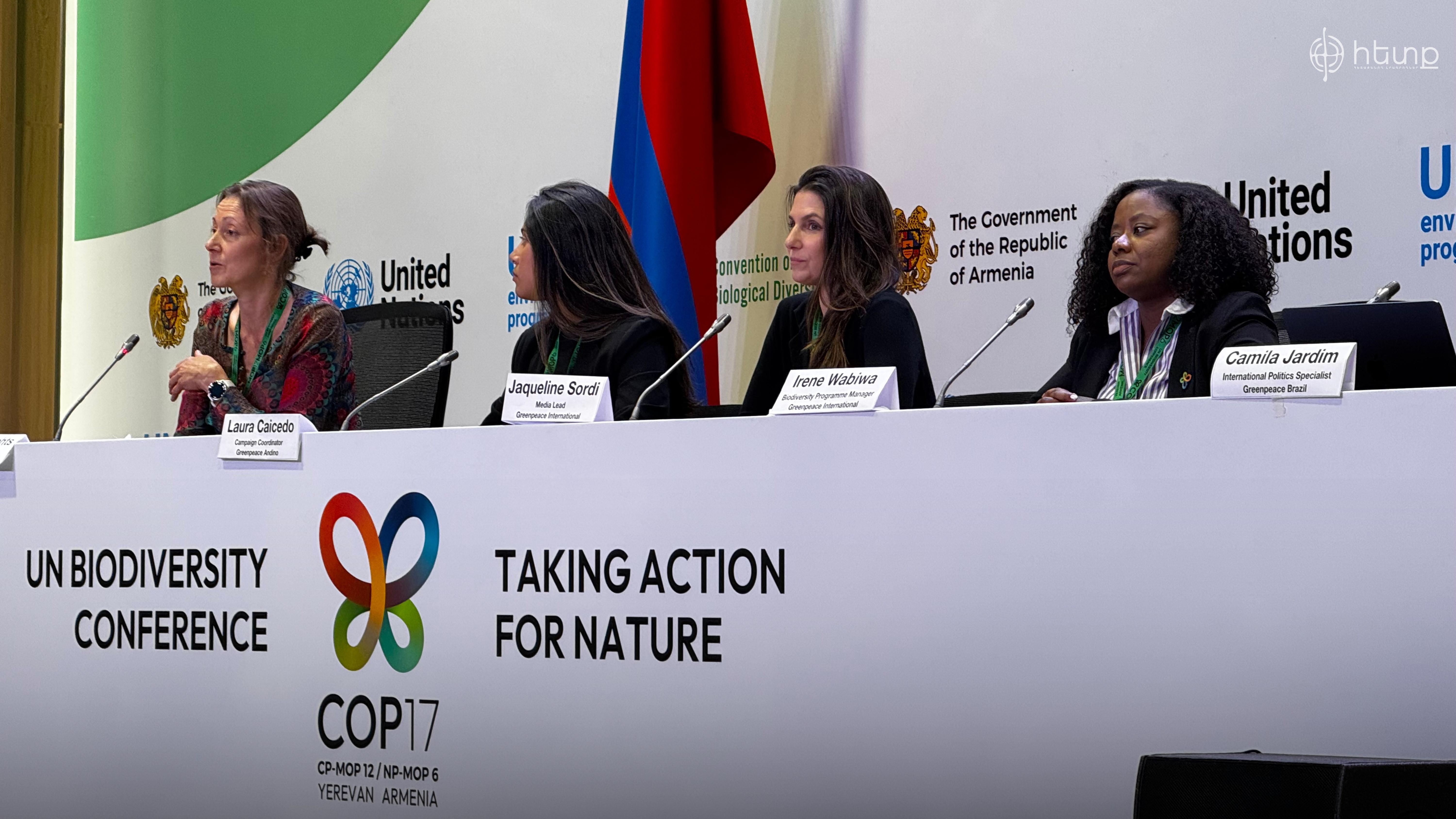 «Մեզ պետք չեն նոր հայտարարություններ, մեզ պետք են գործողություններ»․ «Greenpeace»-ի ակնկալիքները COP17-ից