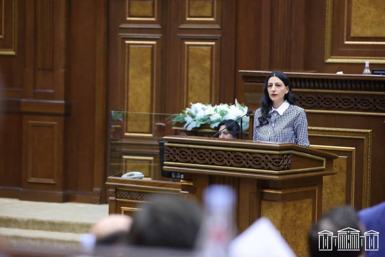 Խորհրդարանը պետք է ժողովրդավարական քննարկումների հարթակ լինի, այլ ոչ «մարտադաշտ». ՄԻՊ