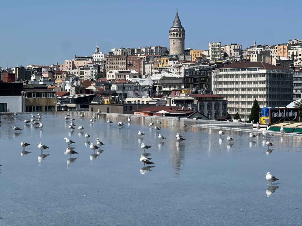 Ապրուած օրեր. Գ.- կիւզել Պոլիսն ու մեծ մայրս