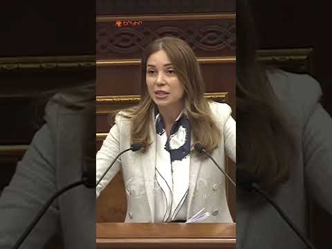 Հասկացանք՝ Նիկոլ Փաշինյանի քավորն եք, բայց արժե՞ նիստերի դահլիճը վերածել գլադիատորական մարտերի