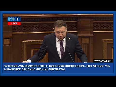 Ոչ միայն ՊՆ բացթողումն է, այլև ԱԱԾ մարմինների. լավ կլիներ ՊՆ նախարարը զբաղվեր բանակի հարցերով