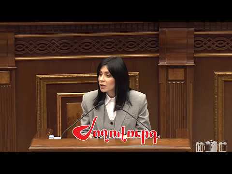 Ագնեսա Խամոյանը ԱԺ ամբիոնից հանցագործության մասին հաղորդում ներկայացրեց