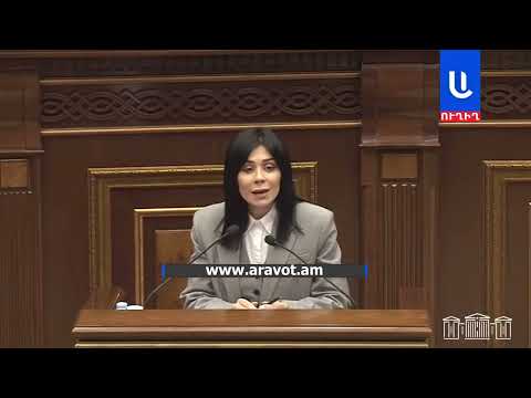 Ագնեսա Խամոյանը ԱԺ ամբիոնից հանցագործության մասին հաղորդում ներկայացրեց