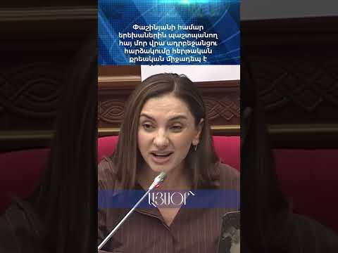 Փաշինյանի համար երեխաներին պաշտպանող հայ մոր վրա ադրբեջանցու հարձակումը հերթական քրեական միջադեպ է