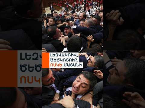 «Հեսա կասեմ՝ ում շինածն ա», «տղավարի՛ խփի». ընտրյալ օրենսդիրները կրկին բռունցքների դիմեցին