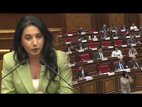 Ինչ արժեք ունի ձեր խաղաղությունը, եթե ՀՀ քաղաքացին իր տանը պաշտպանված չէ. Մարիաննա Ղահրամանյան