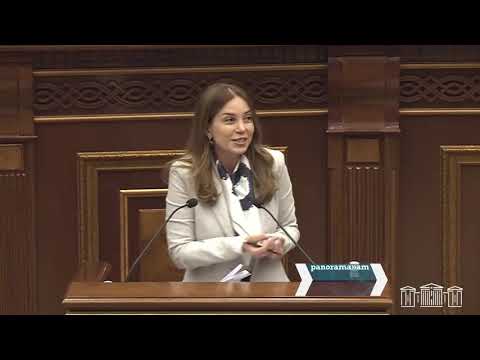 Հասկացանք՝ Նիկոլ Փաշինյանի քավորն եք, բայց արժե՞ ԱԺ-ն վերածել գլադիատորական մարտերի