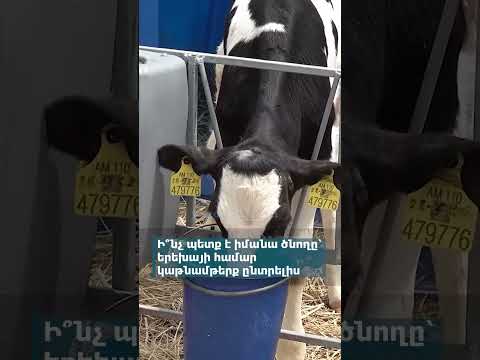What a parent should know when choosing dairy products for their child