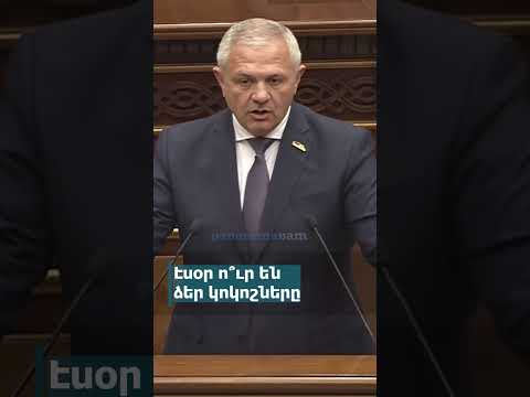 Էսօր ո՞ւր են ձեր կոկոշները