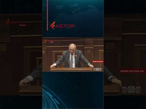 Փաշինյանը Նարեկ Կարապետյանի հարցի ժամանակ կոկորդիլոսի մասին անեկդոտը հիշեց