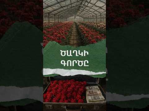 Ծաղկի գործը | ԴՐՎԱԳՆԵՐ