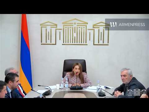 ՀՀ ԱԺ պետական-իրավական հարցերի մշտական հանձնաժողովի հերթական նիստ․ ՈՒՂԻՂ