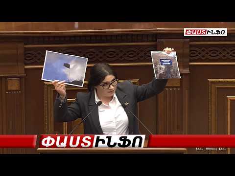 Շաքիի դեպքը չի մոռացվելու, որքան էլ գաթայի փառատոններ կլինեն, Թաթայի համերգներ դնեն. Միրզոյան