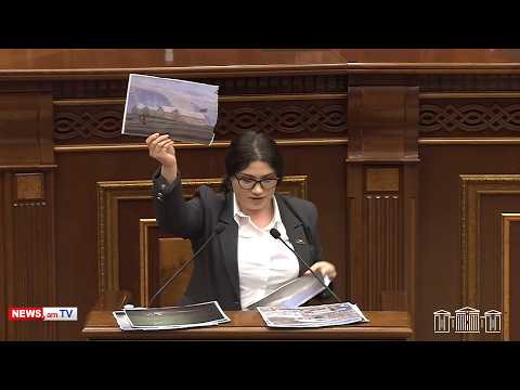 Ստացվում է՝ Փաշինյանը ադրբեջանական դրոշներով է ապահովում սահմանի անվտանգությունը. Միրզոյան