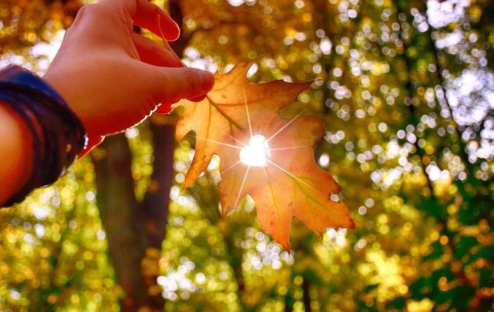 The air temperature will drop by 4-7 degrees in the afternoon of September 29, and by another 3-5 degrees on October 1-4.