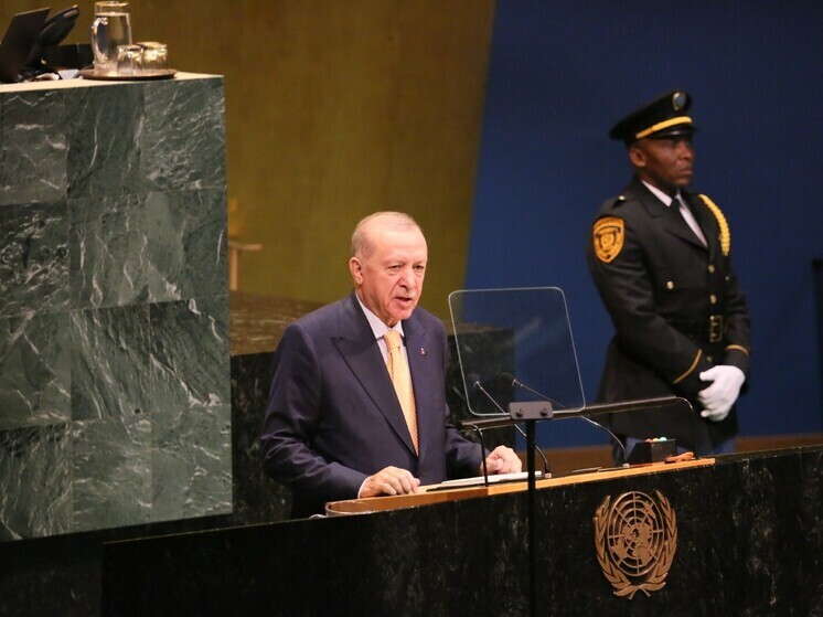 Erdogan again calls for the abolition of the veto right in the UN Security Council | armenpress.am