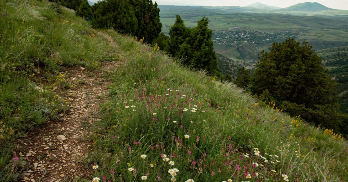 Օդի ջերմաստիճանը կնվազի 7-9 աստիճանով
