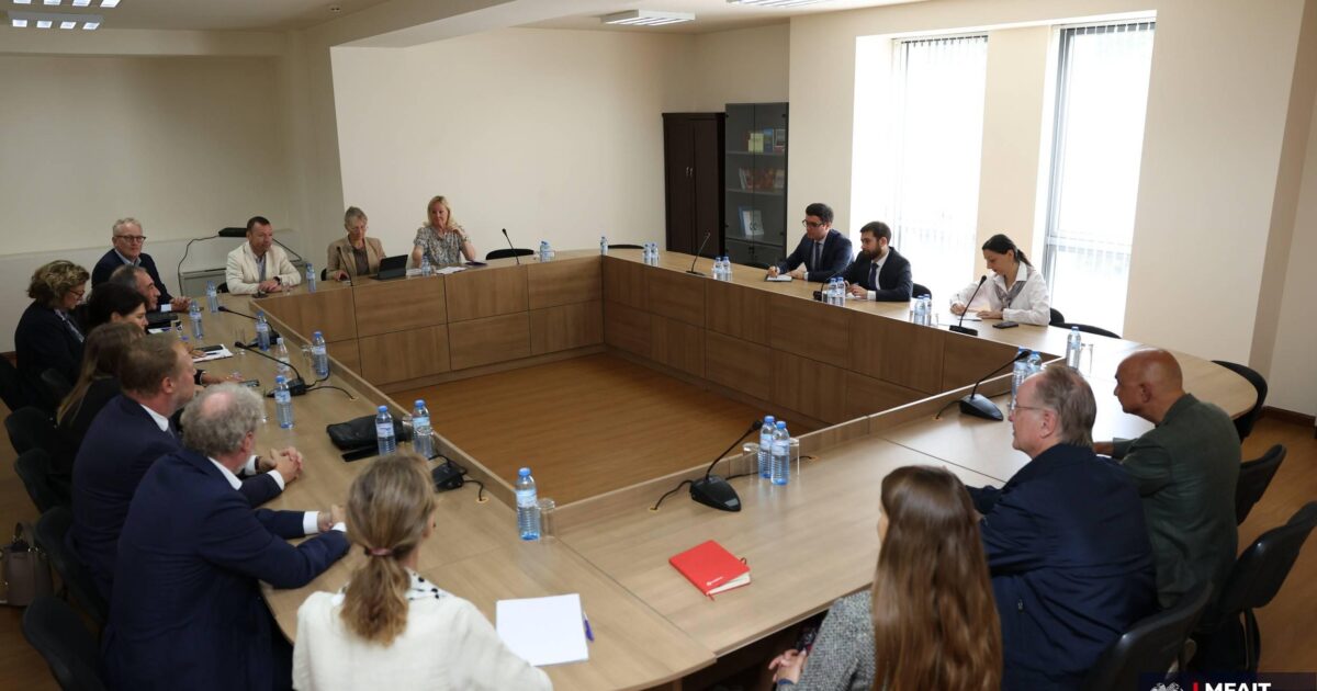 ԱԳՄԱ նախարարի տեղակալն ընդունել է Դանիայի գործարարների ասոցիացիայի անդամներին