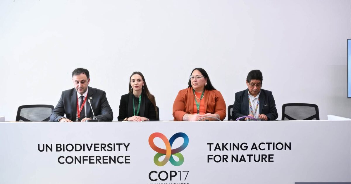 COP17-ի շրջանակում քննարկվել է բնիկ ժողովուրդների ավանդական գիտելիքի դերը կենսաբազմազանության պահպանման գործում