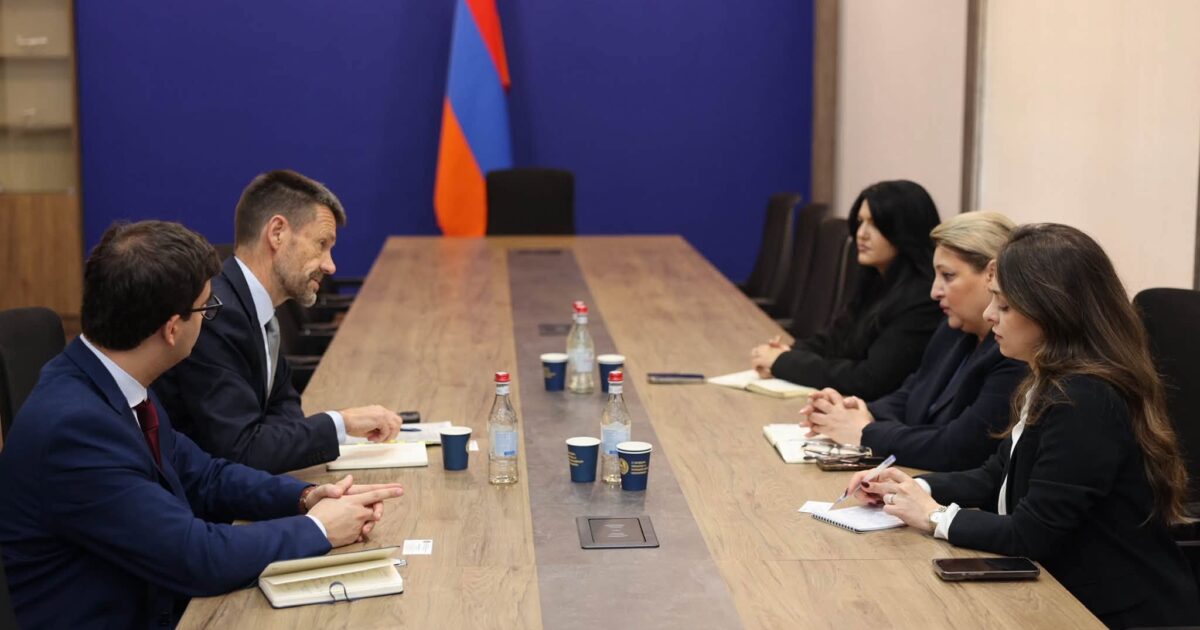 ՀՀ ՏԿԵ փոխնախարարը UNOPS-ի ներկայացուցիչների հետ քննարկել է կանաչ ենթակառուցվածքների զարգացման հեռանկարները