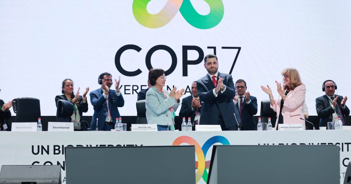 Ավարտեցինք COP17-ը՝ Հայաստանի և աշխարհի համար պատմական նշանակություն ունեցող արդյունքներով. ՇՄ նախարար