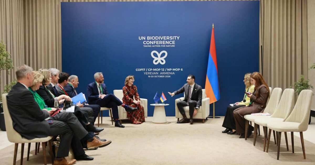Հայաստան–ԵՄ համագործակցությունը՝ COP17-ի շրջանակում