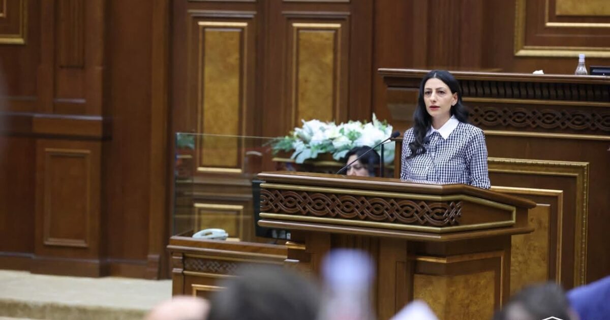 ՄԻՊ-ը պահանջում է բացառել ոչ միայն բռնություն ենթադրող վարքագիծը, այլև բռնությունն արդարացնող ցանկացած խոսք