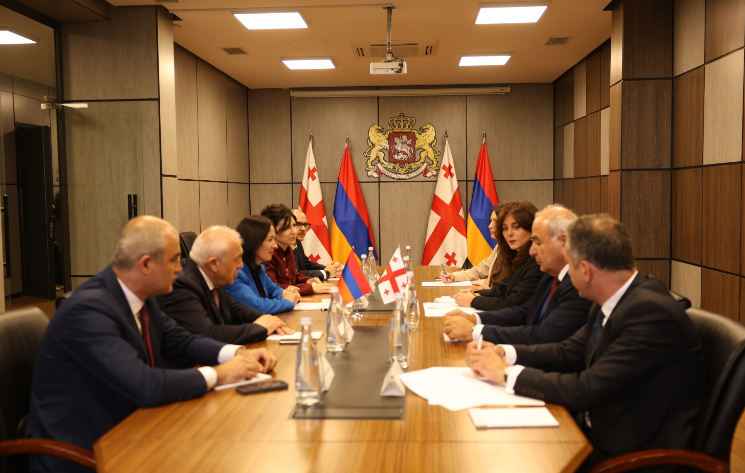 Ժաննա Անդրեասյանը հանդիպել է Վրաստանի մշակույթի նախարար Մայա Բիտաձեի հետ