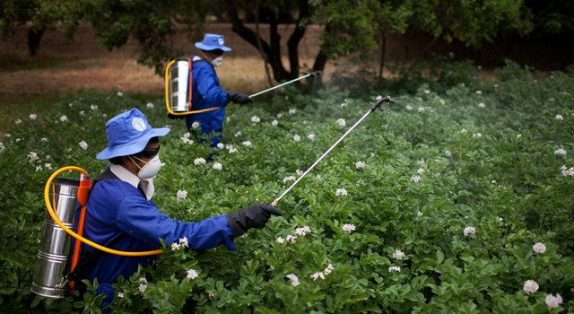 Government begins studying prices of pesticides and agrochemicals
